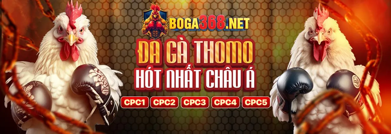 Quy trình rút tiền an toàn và nhanh chóng tại baowin Nổ Hũ